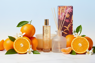 Tangerine Gold